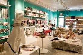 Phone number, map, website and nearby locations. Pin By Pet Groomer S Profit Generatin On Pet Retail Boutiques Dog Boutique Ideas Pet Store Ideas Pet Store Design