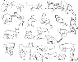 4f6d45eeb3f2e65cddc79172550406f4 Jpg 900 722 Cat Drawing Cartoon Drawings Of Animals Cat Drawing Tutorial
