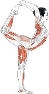 Pin On Yoga Fitness
