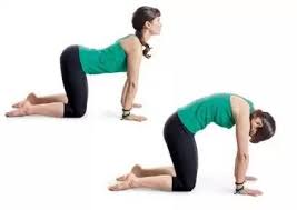 Pin On Yoga Master