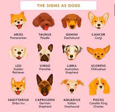 Which Sign Are You Via Refinery29 Dog Horoscope Dog Zodiac Zodiac Signs Animals Zodiac Signs Sagittarius
