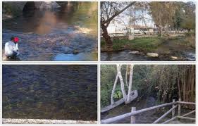 Alojamiento Rural Cortijo Torre Hueca Granadavisita A Riofrio Granada Alojamiento Rural Cortijo Torre Hueca Granada