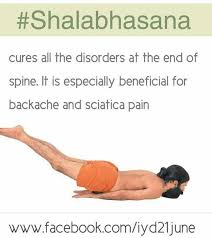 Shalabhasana Householdstuff How To Do Yoga Hatha Yoga Poses Hatha Yoga For Beginners