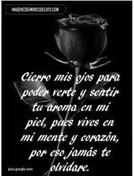 Pin On Frases