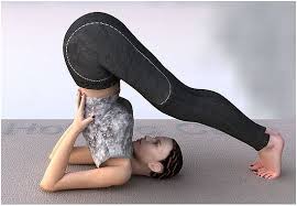 Pin On Intermediate Yogasanas