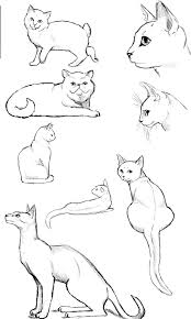 Cat Poses Study 2 By Flamefoxe On Deviantart Cats Art Drawing Cat Anatomy Animal Drawings