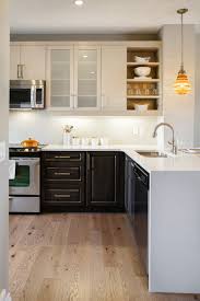 two tone kitchen cabinets: a concept