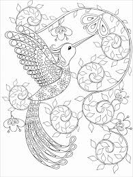 Uccello Piume Spirale Disegno Fiori Ornamenti Petali Foglie Animale Disegni Da Colorare Astratti Pagine Da Colorare Per Adulti Libri Da Colorare