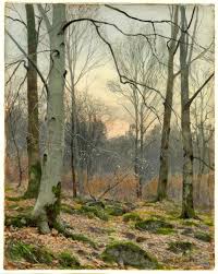 November Evening In A Welsh Wood James T Watts C 1890 Via Britishmuseum Landscape Paintings Landscape Art Tree Painting