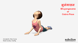 Via Giphy Giphy Yoga Videos Cobra Pose