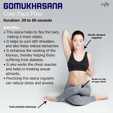 Pin By Javi Del Angel On Yoga Health Yoga Techniques Yoga Benefits Learn Yoga