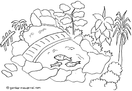 Dari waktu ke waktu, peminat ikan ini semakin banyak karena. Gambar Mewarnai Kolam Hias Gambar Mewarnai Gambar Gambar Flora Dan Fauna Sketsa