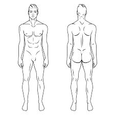 From hip joint to front of knee joint, and. 2 50 Great Purchase No Subscription Man Body Model Front And Back Human Poses Male Human Silhouet Figure Drawing Male Figure Drawing Silhouette Drawing