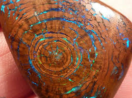 Opalized Wood Boulder Opal Fossil Incredibly Rare Bright Emerald Green Blue Growth Rings Minerals And Gemstones Gems And Minerals Rocks And Minerals
