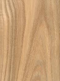Woods To Know Black Ash Canadian Woodworking Ash Wood Canadian Woodworking Green Ash