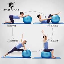 Aliexpress Com Buy Hatha 65cm Professional Swiss Yoga Ball Balancing Bola De Pilates Fitness Gym Home Excise With Pump Pilates Workout Yoga Ball Gym Workouts
