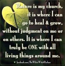 Pin By Carol Woods On It S All About Me Love Psychic Online Psychic Nature Quotes