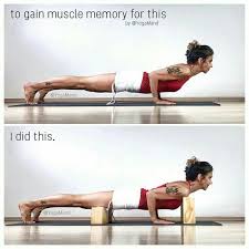 Chaturanga Dandasana Iyengar Yoga Yoga Asanas Yoga Props