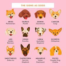 Nationalpuppyday Dog Zodiac Zodiac Signs Animals Zodiac Signs Sagittarius