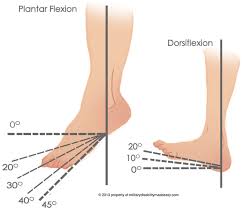 Military Disability Ratings For Ankle Conditions Dance Careers Military Disability Massage Therapy