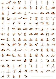 Pin On Yoga Poses