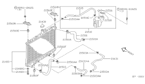 21503 8j110 Genuine Nissan 21503 8j110 Hose Radiator Lower