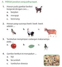 Pin Di Microsoft Word