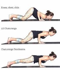 Chaturanga Dandasana Four Limbed Staff Pose Raj Yoga Rishikesh Vinyasa Yoga Ashtanga Yoga Yoga Tutorial
