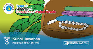 Kunci Jawaban Tema 3 Kelas 3 Halaman 165 166 167 Buku Tematik Kurikulum 2013 Kurikulum Buku Kunci