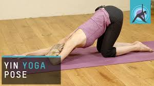 Yin Yoga Pose For The Shoulders 1 4 Dog Pose Youtube Yin Yoga Poses Yin Yoga Yoga