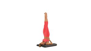 Pin On Fitness