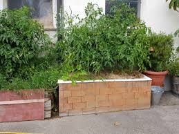 Wie sie dabei am besten vorgehen. Badewanne Als Krauterbeet Gartenzeitung Com