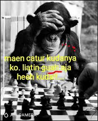 Последние твиты от meme hastasi (@memehastasi5). Gambar Catur Lucu