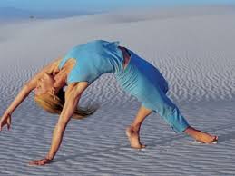 Reverse Downward Facing Dog By Shiva Rea Power Yoga Videos Yoga Videos Power Yoga