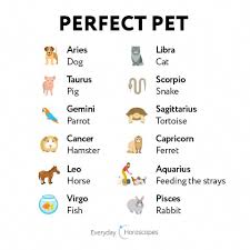 Zodiacsign Horoscope Astrology What Kind Of Pet Will Be Perfect For Your Sign Your Horoscope Is Here Ar Horoscope Zodiac Star Signs Zodiac Signs Astrology