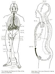 The Liver And Liver Qi Stagnation Chinese Medicine Traditional Chinese Medicine Acupuncture Acupressure