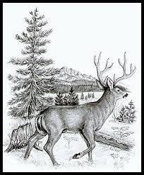 Free Wood Burning Stencils Free Wood Burning Stencils Carving Pyrography Cool Pat Wood Carving Patterns Wood Burning Stencils Wood Burning Patterns