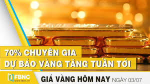 Gia Vang Hom Nay 3 7 2020 70 Chuyen Gia Dự Bao Vang Tăng Tuần Tới Fbnc Youtube