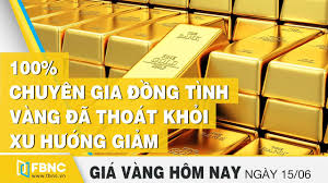 Gia Vang Mới Nhất Hom Nay 15 6 2020 100 Chuyen Gia đồng Tinh Vang đa Thoat Xu Hướng Giảm Fbnc Youtube