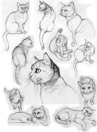 Cat Poses I By Jennomat Animal Sketches Cat Drawing Tutorial Cats Art Drawing
