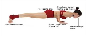 Chaturanga Dandasana Yoga Chaturanga Chaturanga Dandasana Chaturanga
