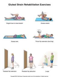 Exercise For Groin Strain Yahoo Search Results Rehabilitation Exercises Exercise Scoliosis Exercises