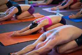 Ardha Kurmasana Half Tortoise Pose Yogateket