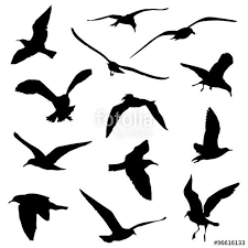 Vettoriale Various Birds Flying Silhouettes Silhouette Uccello Tatoo Uccelli
