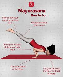 How To Do Mayurasna Learn Yoga Yoga Asanas Learn Yoga Poses