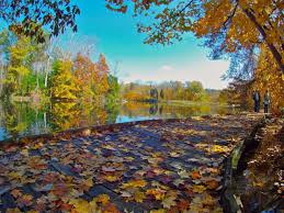 Cincinnati Nature Center Rowe Woods Nature Center Beautiful Landscapes Natural Landmarks