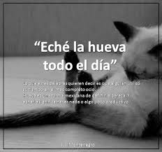 Que Significa La Frase Eche La Hueva Todo El Dia Diccionario Mexicano Palabras Con Significado Decir Te Quiero