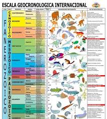 Procedencia De Los Terminos De La Escala De Tiempos Geologicos Paleozoico De Zoe Vida Y Origen De La Tierra Ciencias De La Tierra Historia De La Tierra