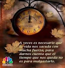 Cuando La Vida Nos Sacude Con Fuerza A Veces Es Necesario Que La Vida Nos Sacuda Con Fuerza Para Darnos Cu Tips To Be Happy Spanish Quotes Famous Quotes