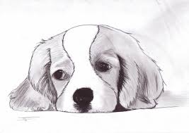 Disegno Di Un Cane Immagini Da Ricopiare Chiaro Scuro A Matita Disegni A Matita Facili Disegni Di Cane Disegni Simpatici